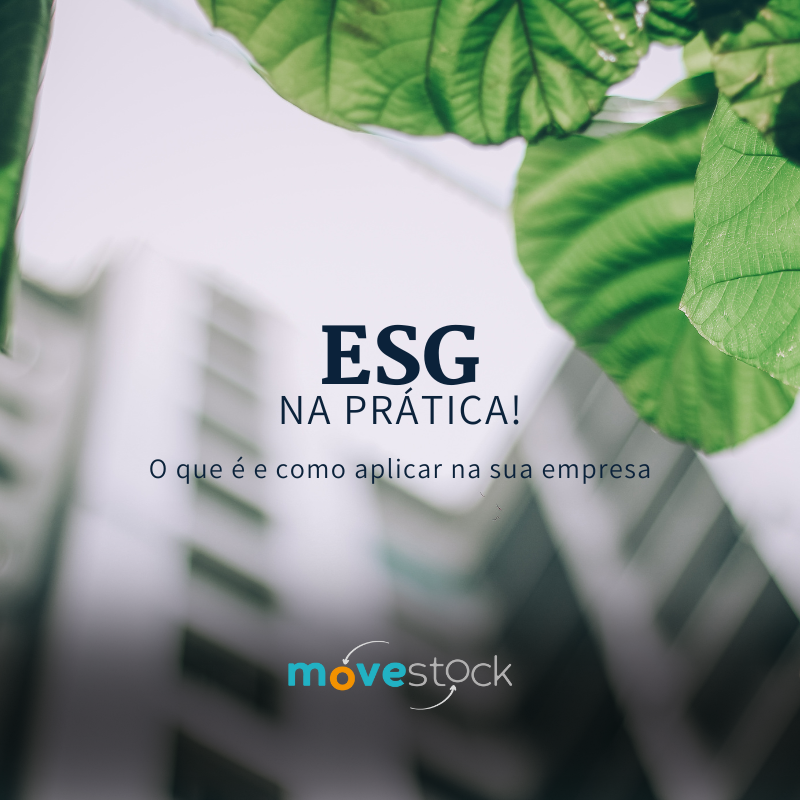 ESG na prática O que é e como aplicar na sua empresa