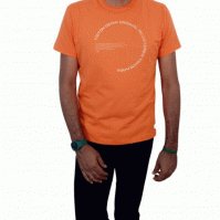 Camisetas Básica Triton Masculina