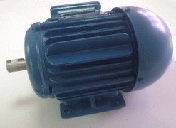 MOTOR WEG TRIFÁSICO BAIXA ROTAÇÃO 1,5 CV W22